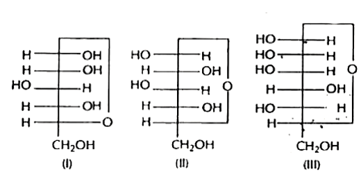 मोनोसैकेराइडों की तीन चक्रीय संरचनाएँ नीचे दी गई हैं। इनमें से कौन-सी ऐनीमर है (i) beta-D- ग्लूकोस (ii) alpha-D- ग्लूकोस (iii),alpha-D  फ्रक्टोस