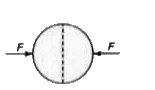 त्रिज्या R के एक पतले एकसमान आवेशित गोलीय कोश का पृष्ठीय आवेग घनत्व sigma प्रति इकाई क्षेत्रफल है। यह कोश दो अर्द्धगोलाकार कोशो को F बल द्वारा एक-दूसरे से सटाकर रखने से बना है F नीचे दिय विकल्पों में से करके समानुपाती होगा?