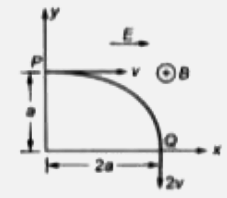 एक +q आवेश वाला कण जिसका द्रव्यमान m है एकसमान विद्युत क्षेत्र E hat(i) तथा एक चुम्बकीय क्षेत्र B hat(k) में से तक चित्रानुसार प्रक्षेप्य पथ पर चल रहा है। P  व Q वेग vतथा  
 2v है।  निम्नलिखित में से कौन - सा/से  कथन सही है  /है ?