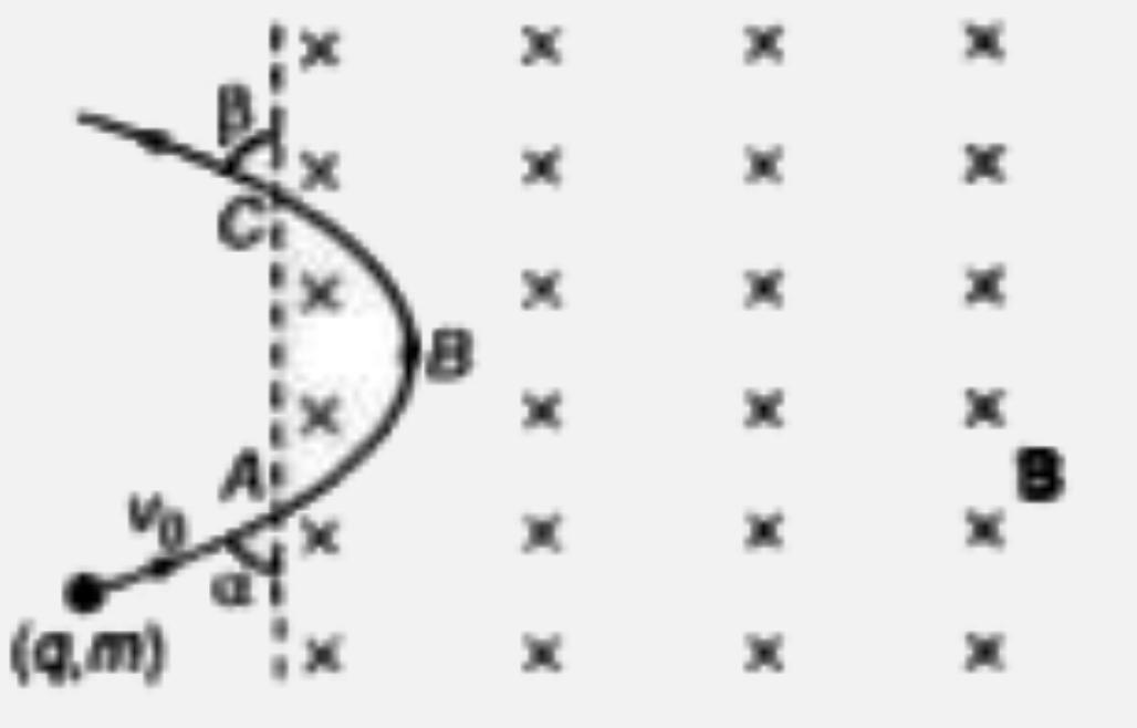 एक आवेशित कण (q,m) एकसमान  चुम्बकीय क्षेत्र में B चित्रानुसार कोण alpha पर चाल v(0)से प्रवेश करता है।  ज्ञात कीजिये   (a) कोण beta  जिस पर वह चुम्बकीय क्षेत्र को छोड़ता है   (b)चुम्बकीय क्षेत्र में कण द्वारा व्यर्थ समय तथा   (c ) दूरी AC |