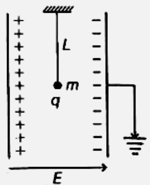 L लम्बाई के एक सरल लोलक को चित्रानुसार एक समान्तर प्लेट संधारित्र के मध्य, जिसमें विद्युत क्षेत्र E है, में रखा है। इसके लोलक का द्रव्यमान m तथा आवेश q है। इस लोलक का आवर्तकाल होगा-