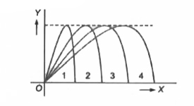 एक किक की गई फुटबॉल के चार पथ चित्रानुसार प्रदर्शित है। उड़ान पर वायु के प्रभाव को उपेक्षणीय मानकर, प्रारम्भिक क्षैतिज वेग घटक के अनुसार पथो की रैकिंग कीजिए (उच्चतम पहले)।