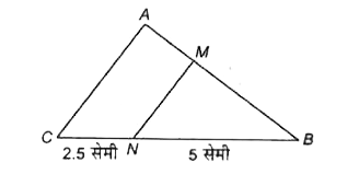 यदि AC || MN, BN = 5 सेमी एवं NC = 2.5 सेमी, तो BM: AM  का मान होगा