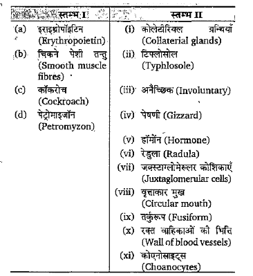 स्तम्भ I तथा स्तम्भ II का मिलान कीजिए।