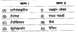 निम्न स्तम्भों का मिलान कर सही विकल्प का चयन कीजिए।