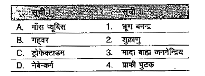 सूची I और सूची II के बीच मिलान कीजिए तथा नीचे दिए गए कूट का प्रयोग कर सही विकल्प  को चुनिए।