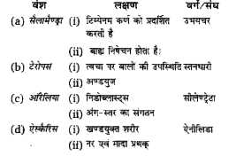 निम्नलिखित में से किसमें वंश का नाम, उसके दो लक्षण तथा उसका वर्ग/संघ सुमेलित हैं?