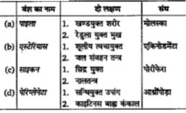 निम्नलिखित विकल्पों में से किसमें वंश का नाम दो लक्षण तथा संघ का नाम का सही प्रकार से मिलान नहीं किया गया है?
