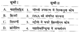 सूचियों के बीच मिलान कीजिए और सही विकल्प चुनिए।