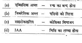 निम्नलिखित युग्मों में कौन-सा एक सुमेलित नहीं है?