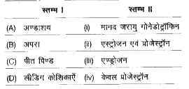 निम्न स्तम्भों का मिलान कर सही विकल्प का चयन कीजिए।      कूट