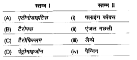 निम्न स्तम्भों का मिलान कर सही विकल्प का चयन कीजिए।      कूट