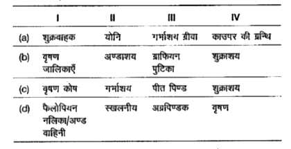 नीचे दी गई श्रेणी में एक विषम को चुनिए और सही विकल्प का चयन कीजिए।   I. वृषणकोष, वृषण जालिकाएँ, फैलोपियन नलिका/अण्डवाहिनी, शुक्रवाहक   II. अण्डाशय, गर्भाशय, योनि, स्खलनीय वाहिनी   III. अग्रपिण्डक, ग्राफियन पुटिका, पीत पिण्ड, गर्भाशय ग्रीवा     IV. प्रोस्टेट, वृषण, शुक्राशय, काउपर ग्रन्थि