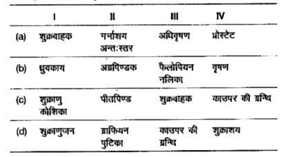 प्रत्येक श्रेणी में गलत शब्द पर निशान लगाइए, और सही विकल्प चुनिए   I. शुक्राणु कोशिका, ध्रुवकाय, शुक्राणुप्रसू, शुक्राणुजन    II. गर्भाशय अन्त:स्तर, पीत पिण्ड, अग्रपिण्डक, ग्राफियन पुटिका    III. शुक्रवाहक, फैलोपियन नलिका, अधिवृषण, काउपर की ग्रन्थि   IV. वृषण, प्रोस्टेट, शुक्राशय काउपर ग्रन्थि