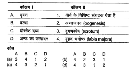 निम्न कॉलमों का मिलान कीजिए।