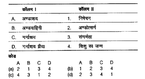 निम्न कॉलमों का मिलान कीजिए।