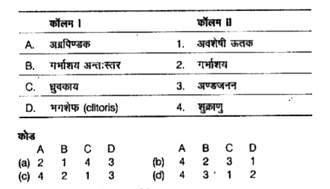 निम्न कॉलमों का मिलान कीजिए।