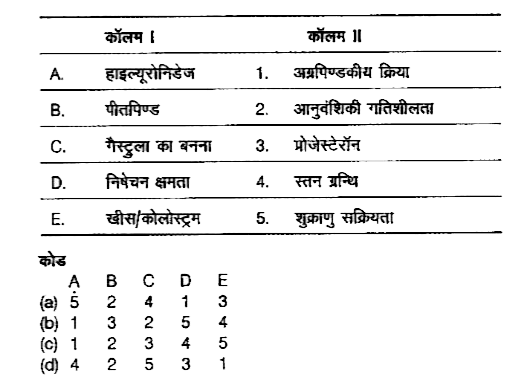 निम्न कॉलमों का मिलान कीजिए।