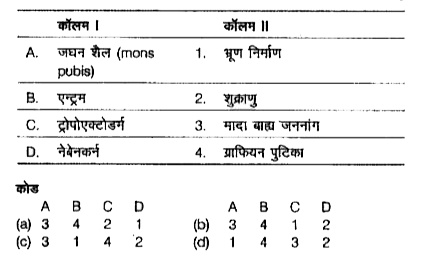 निम्न कॉलमों का मिलान कीजिए।