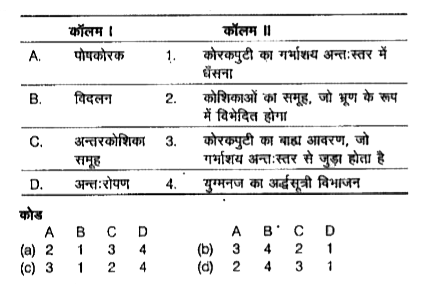 निम्न कॉलमों का मिलान कीजिए।