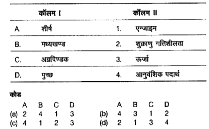 निम्न कॉलमों का मिलान कीजिए।