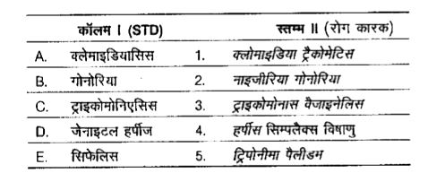 निम्न कॉलमों का मिलान कीजिए।