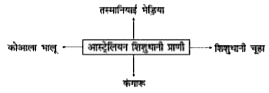 अनुकूली विकिरण दिया गया चित्र क्या इंगित करता है?