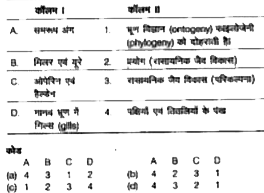 निम्न कॉलमों का मिलान कीजिए।