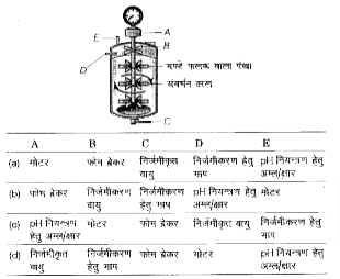 नीचे सरल दण्ड विलोडित टैंक बायोरिएक्टर का चित्र दिया गया  है। A से E तक की पहचान कीजिए।