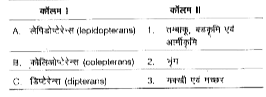 निम्न कॉलमों का मिलान कीजिए।