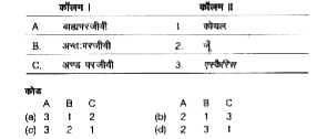 दिए गए कॉलमों का मिलान कीजिए।