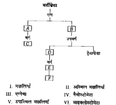 वर्गीकरण सारणी के रिक्त स्थानों को A, B, C, D, E व F के अनुरूप चयन कीजिए तथा सही विकल्प का चयन कीजिए।