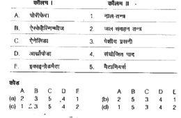 निम्न कॉलमों का मिलान कीजिए।