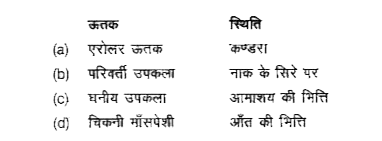 निम्न में से कौन-सा ऊतक अपने सही स्थान के साथ जुड़ा है?