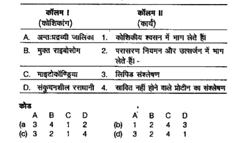 निम्न कॉलमों का मिलान कीजिए।