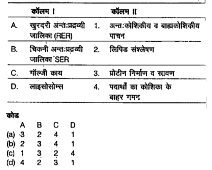 निम्न कॉलमों का मिलान कीजिए।