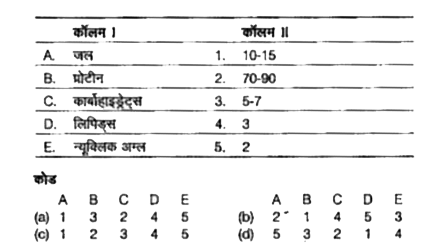 निम्नलिखित कॉलमों को सुमेलित कीजिए।