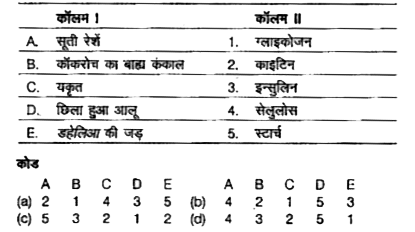 निम्नलिखित कॉलमों को सुमेलित कीजिए।
