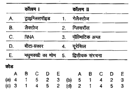 निम्नलिखित कॉलमों को सुमेलित कीजिए।