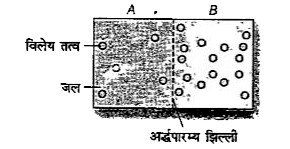 नीचे दिए गए चित्र के आधार पर, निम्न में से कौन-सा कथन असत्य है?