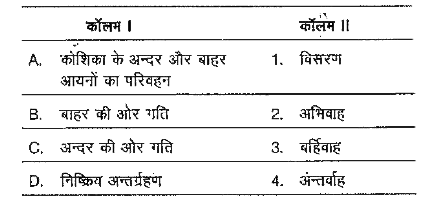 निम्न कॉलामो का मिलान कीजिए