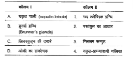 निम्न कॉलमों का मिलान कीजिए।