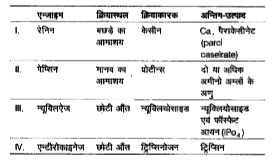 निम्न में से कौन-से पाचक एन्जाइम क्रियास्थल, क्रियाकरक एवं अन्तिम उत्पाद के सन्दर्भ में सही है?