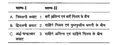 स्तम्भ-I में दी गई मदों को स्तम्भ-II की मदों से मिलान कीजिए और नीचे दिए विकल्पों में से सही विकल्प का चयन कीजिए।