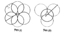 चित्र (i) व (ii) रिक्तियों की संरचना को प्रदर्शित करते हैं।     निम्न में से कौन-सा विकल्प सही है?
