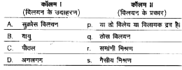 कॉलम I का कॉलम II के साथ मिलान कीजिए।