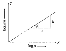 जहाँ, x = गैस का भार जिसको अधिशोषित किया गया,    m = अधिशोषक का भार, p= दाब    उपरोक्त ग्राफ और इसका ढाल प्रदर्शित करता है।