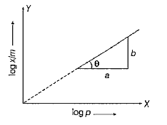 जहाँ, x = गैस का भार जिसको अधिशोषित किया गया,    m = अधिशोषक का भार, p= दाब    जब 1/n=0 , तब अधिशोषण