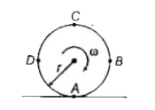 एक लुढ़कती हुई चकती के लिए चित्र में दिखाए गए अनुसार सही विकल्प का चुनाव करें।   I. v(A)=0   II  v(B)=v(D) gt v(C)   III v(C)=2 r omega   IV पिण्ड के द्रव्यमान केन्द्र की गति शुद्ध लोटनी गति में शून्य होती है।