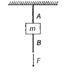चित्रानुसार तार A और B से एक द्रव्यमान (m) संयोजित है दोनों तार समान धातु के है तथा इनकी त्रिज्याएँ क्रमशः r(A)तथाr(B) है B का सिरा बल mg/3 द्वारा खींचा गया है